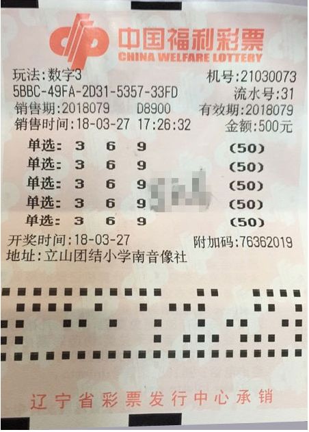 双色球游戏，揭晓2024年065期开奖结果，幸运数字背后的故事