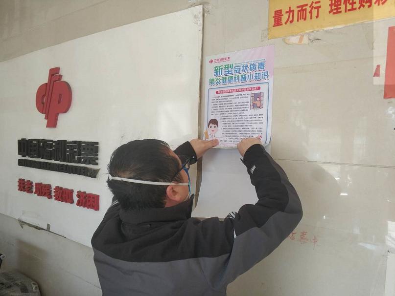 河北彩票网，探索彩票世界的门户