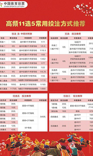 揭秘11选5二胆全拖奖金表，规则解析与奖金概览