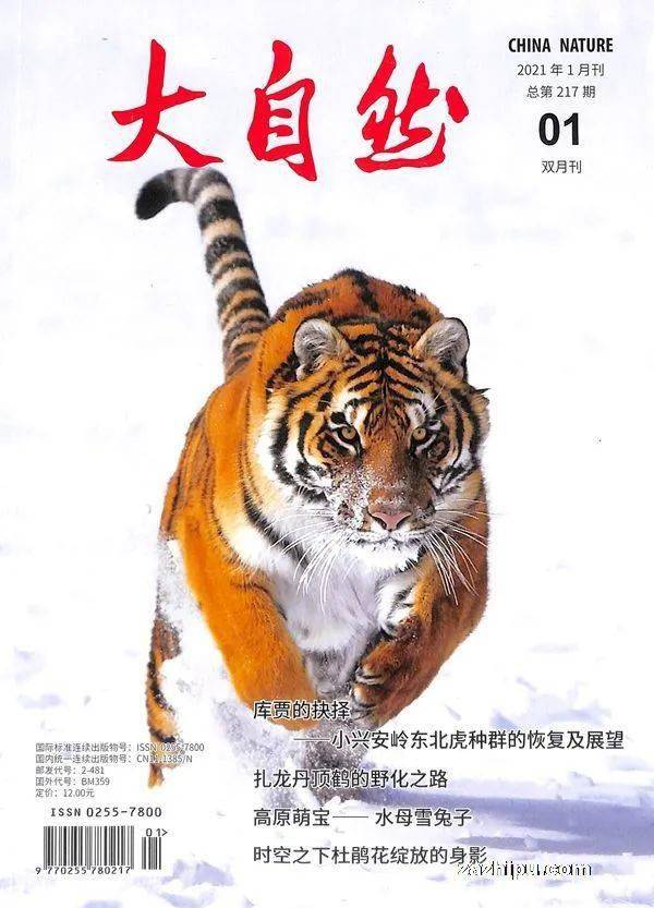 第497页