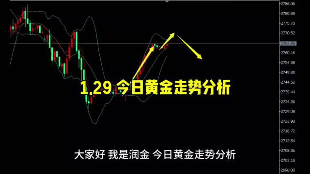 这两个关键词能够很好地概括您提供的内容主题