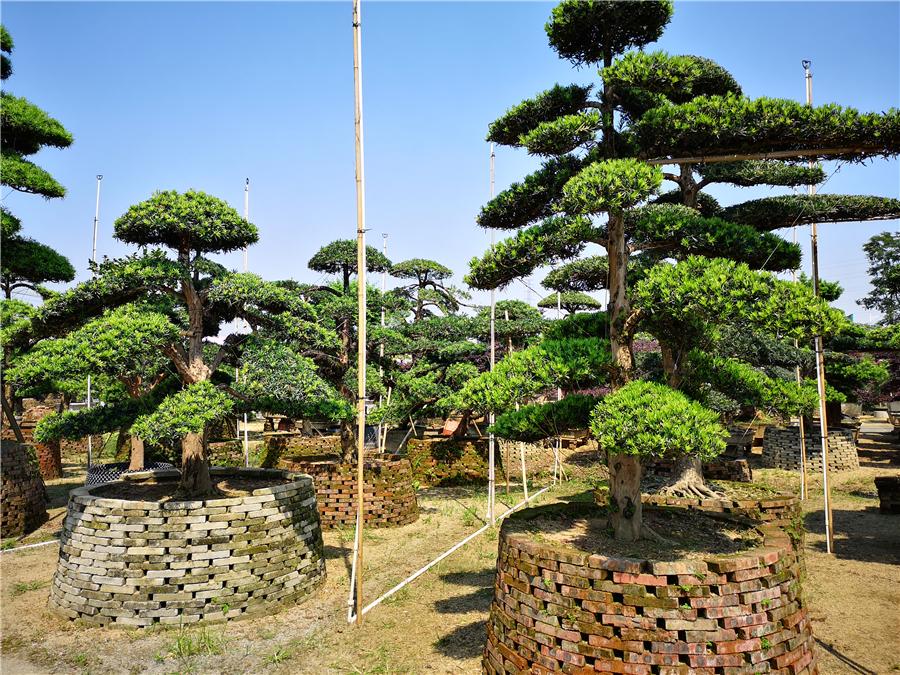 深度解析当前市场趋势，全面行情分析