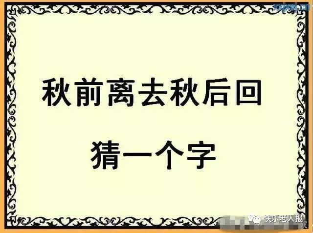 今晚晚秋的神秘字谜探索