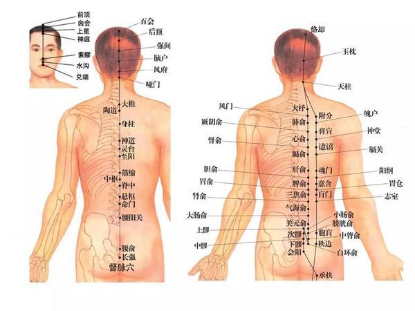 推拿手法分类及其应用