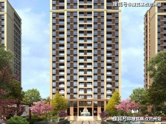 P3试机号发布时间解析