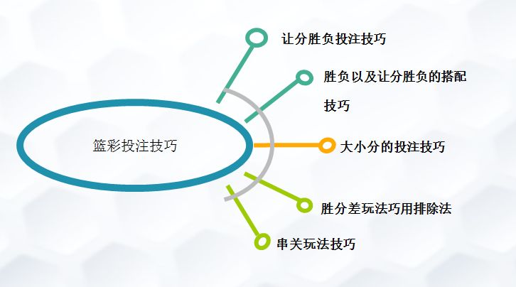 体育彩票走势图与天天赢球的奥秘