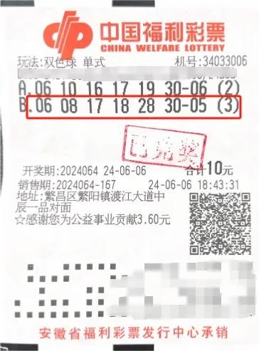 体育彩票走势图彩票走势图表大全新浪，探索彩票世界的神秘面纱
