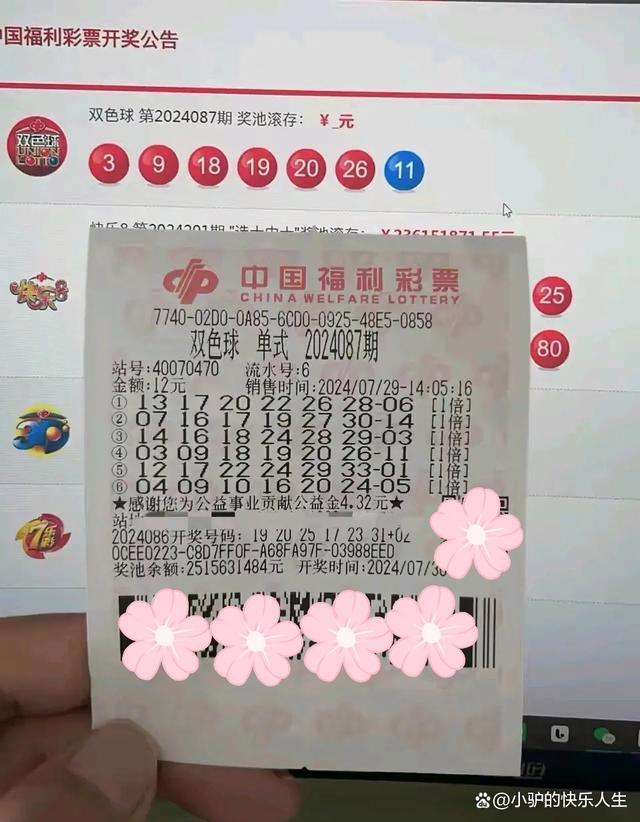 双色球第59期开奖号码查询，揭秘幸运之门背后的秘密