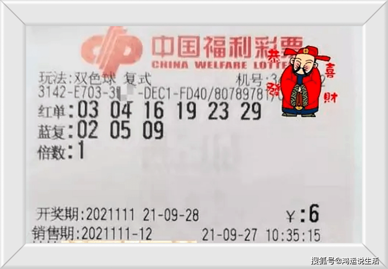 双色球开奖号码查询2021年第111期，揭秘幸运之门背后的秘密