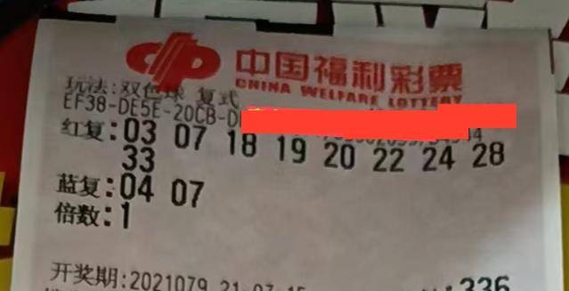 双色球近期开奖号码8 1多少钱，深度解析与预测