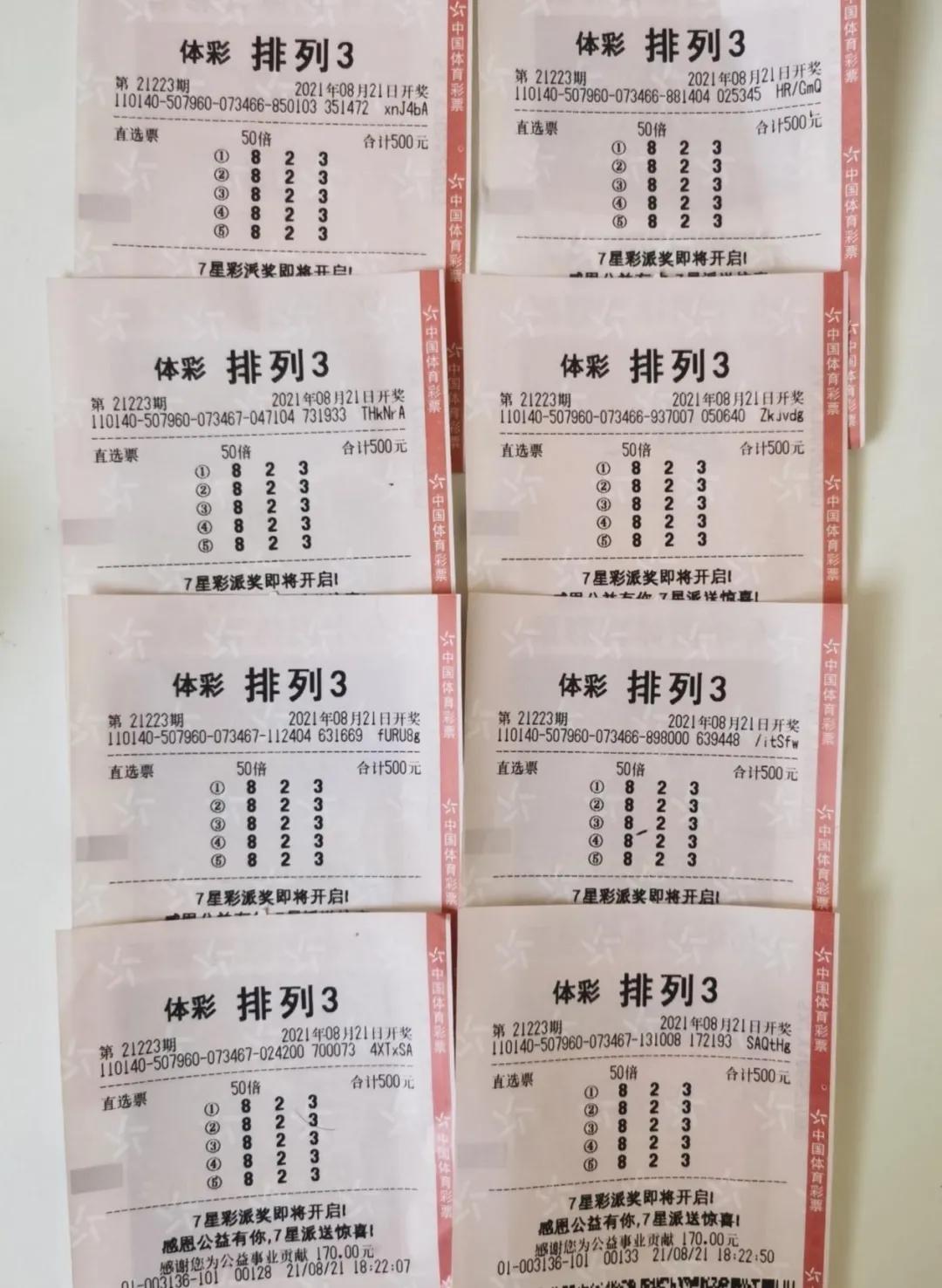 彩票8+3一注的价格及背后的故事