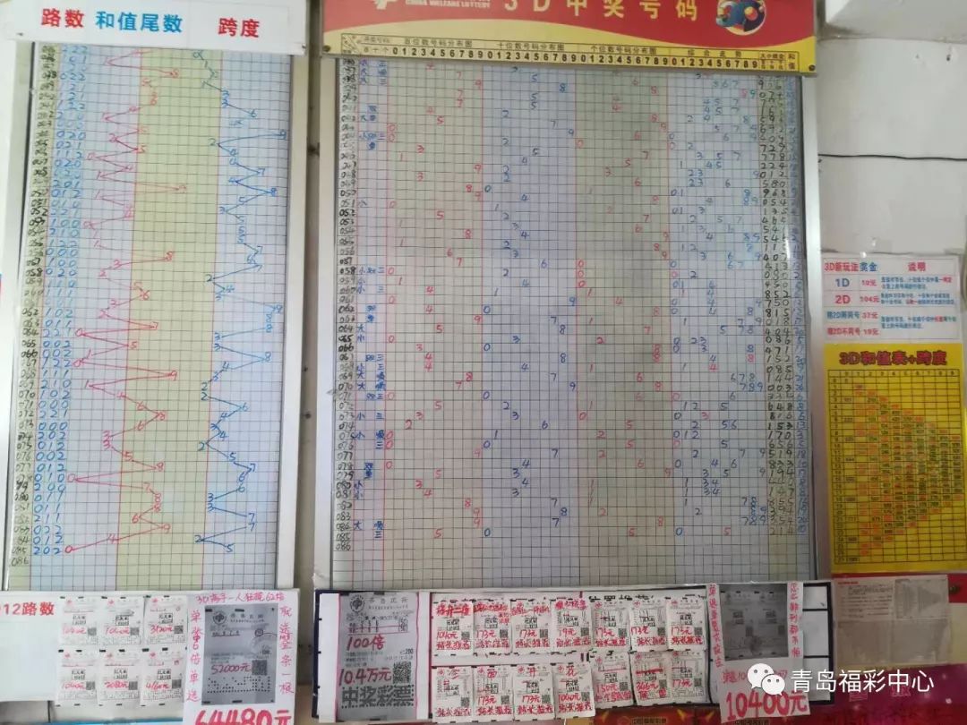 西双版纳彩票3D走势图，探索数字世界的奥秘与魅力