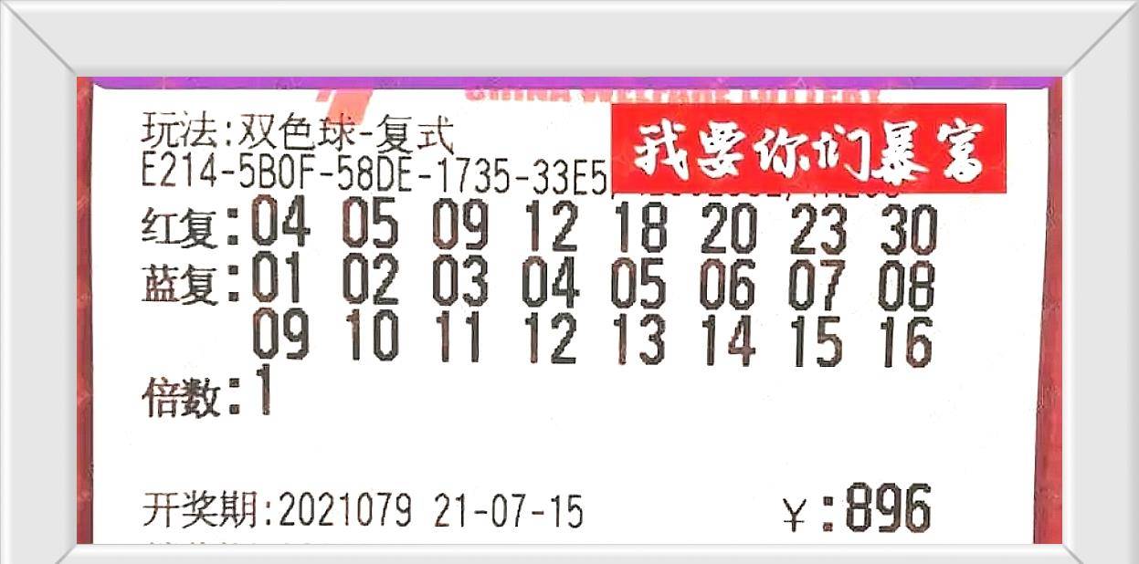 排列三开奖结果奖结果，探索数字世界的幸运之旅