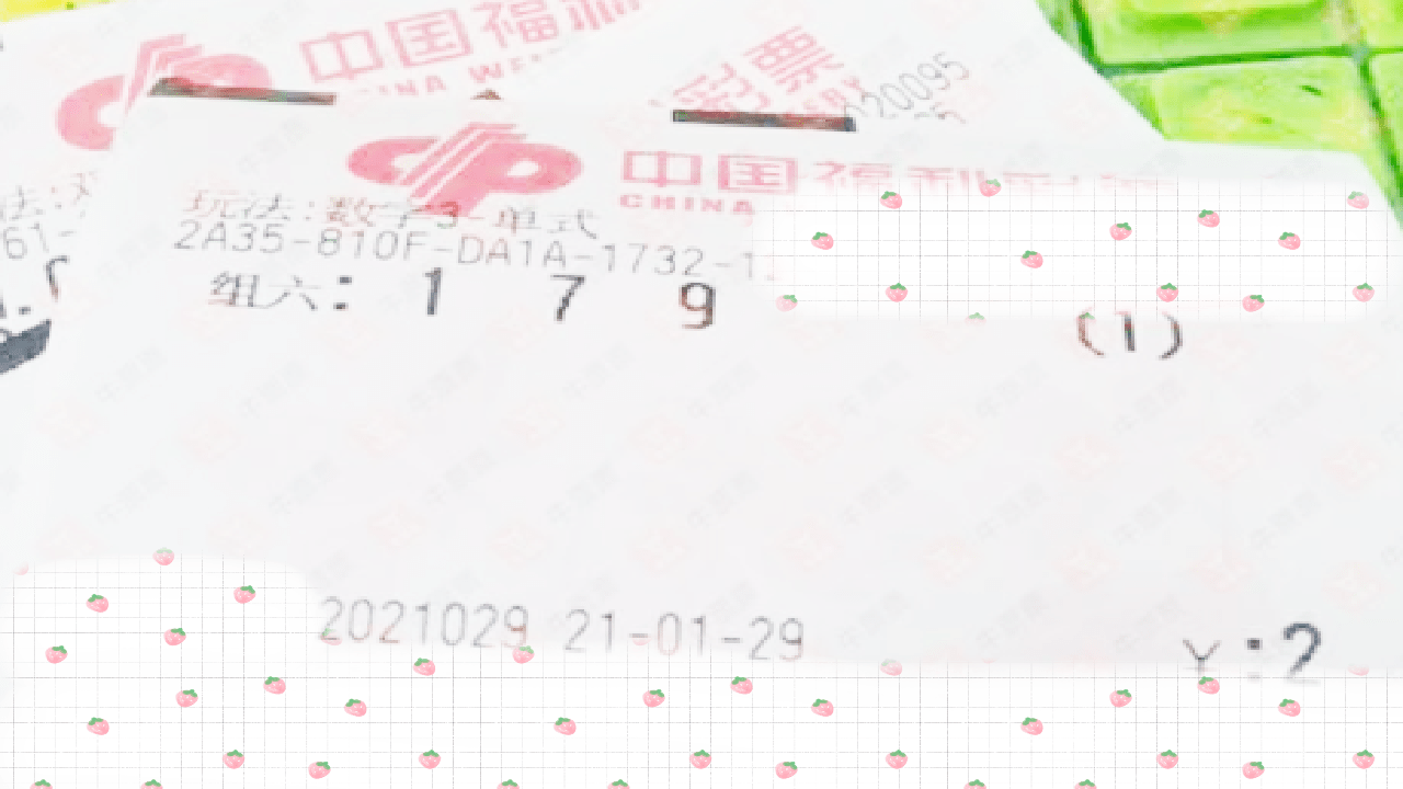 开奖结果深度解析