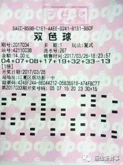 双色球开奖奖结果双今天，揭秘彩票背后的故事与查询技巧