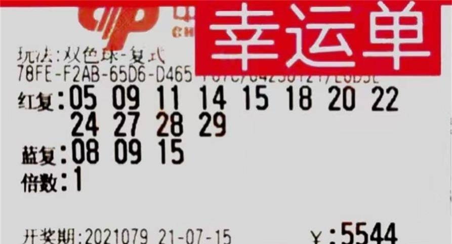 福利双色球开奖结果，梦想与现实交织的奇妙旅程